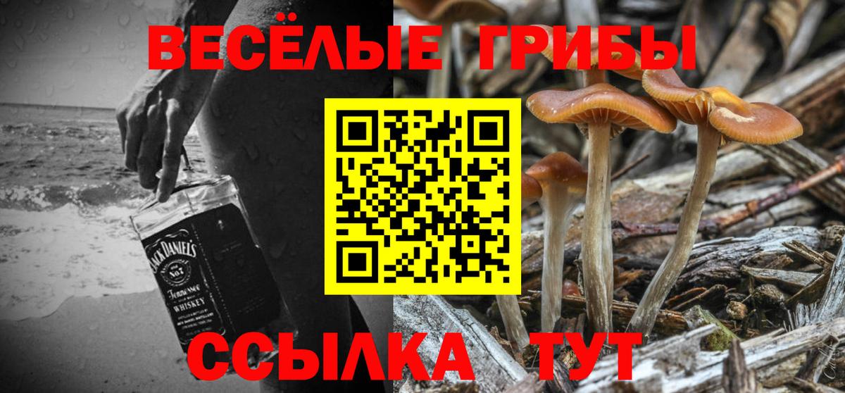 Галлюциногенные грибы Psilocybine cubensis  Вход с VPN  Псилоцибиновые грибы Cubensis  Калуга 