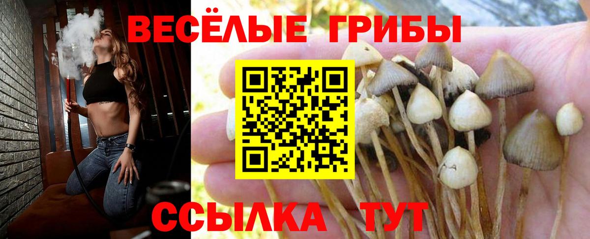 COCAIN  NBOMe  MDMA  КОКАИН  КЕТАМИН  МЕТ  ГАШ  Калуга  Марихуана  МЕФ кристаллы  Амфетамин кристаллы  Вход с VPN 