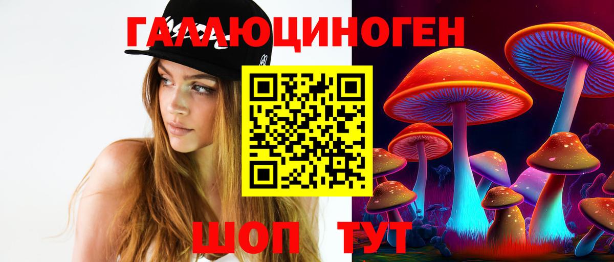 Галлюциногенные грибы Cubensis Калуга